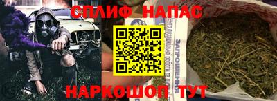 сатива Бузулук